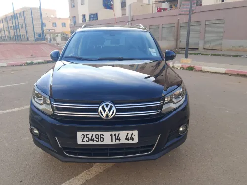 Volkswagen Tiguan 2014 Cup