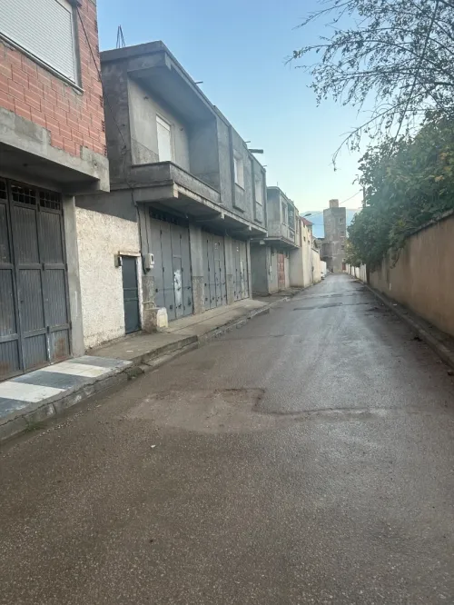 Location bien immobilier Alger Les eucalyptus