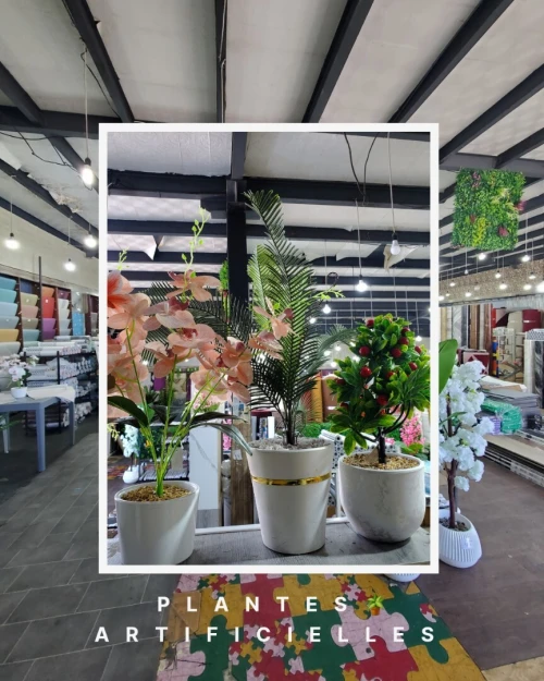 Plantes Artificielles