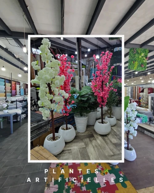 Plantes Artificielles