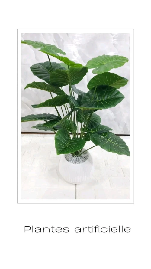 Plantes artificiel