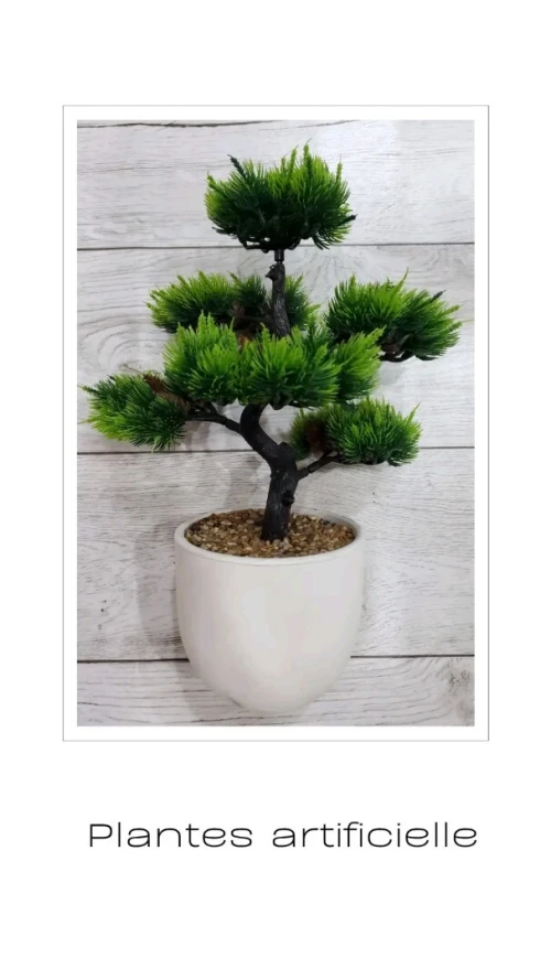 Plantes artificiel