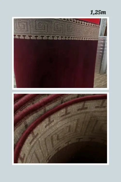Tapis Rouge officiel et Tapis de couloir