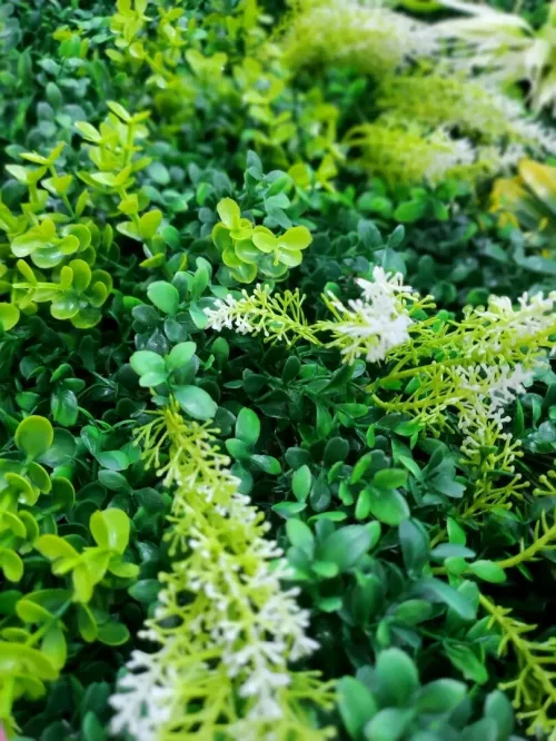 PANNEAU MURAL fleurs  - مزيج من النباتات