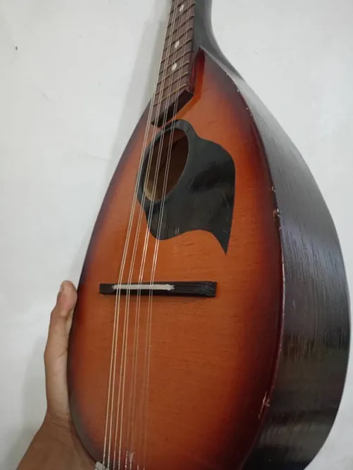 Mondoline