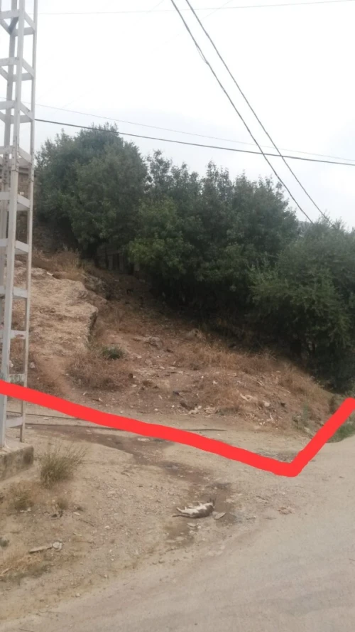 Vente Terrain Aïn Defla Miliana