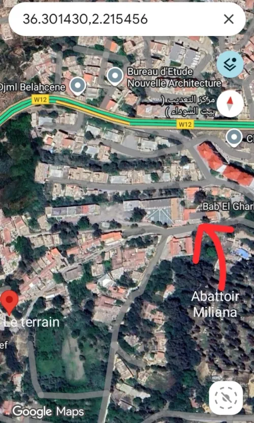 Vente Terrain Aïn Defla Miliana