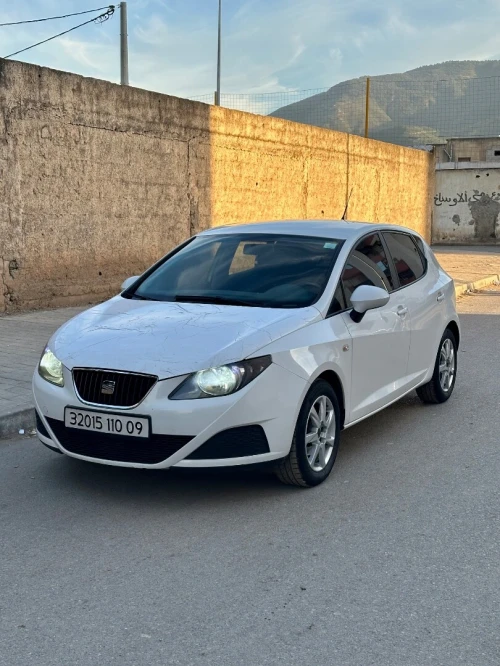 Seat Ibiza 2010 Loca
