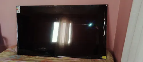Plasma 65 pousse 