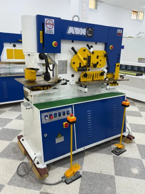 Machine hydraulique pour le travail du fer 60T 