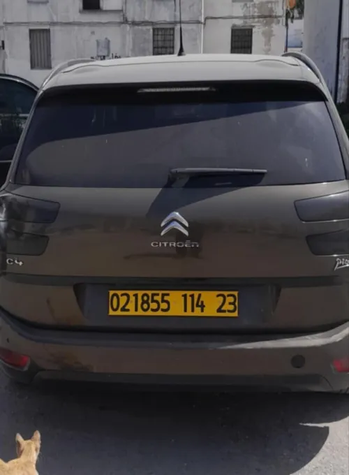 C4 Picasso C4 2014 