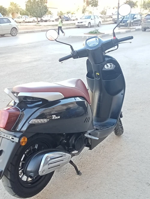 Vms Panarea 2024