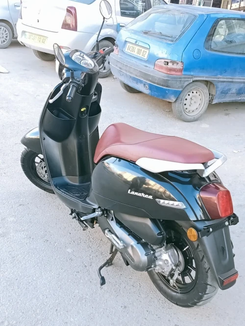 Vms Panarea 2024