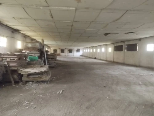 Location Hangar - Usine Alger Tessala el merdja