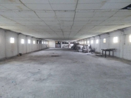 Location Hangar - Usine Alger Tessala el merdja