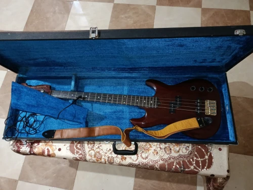 Guitare Basse Michigan (Made in Korea) + Hard Case
