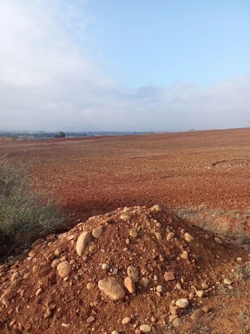 Vente Terrain Aïn Defla Ain soltane
