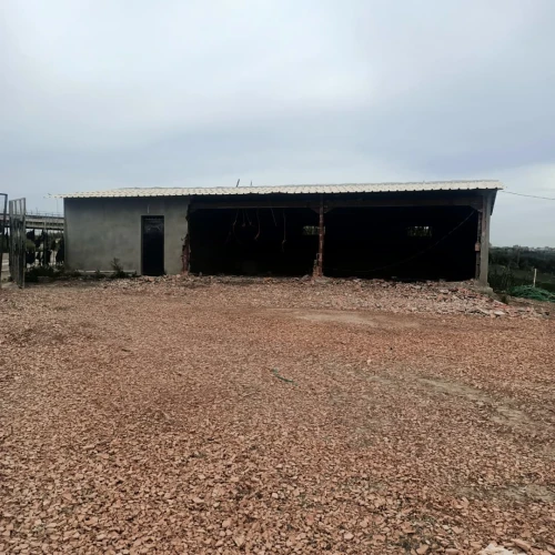 Vente Hangar - Usine Boumerdès Larbatache