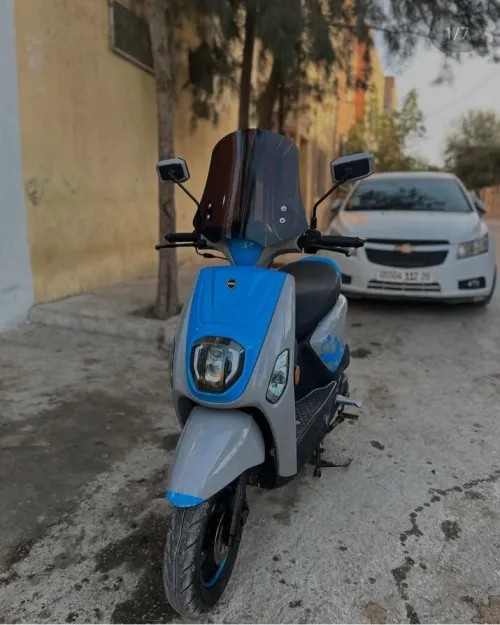 Vms Coxi estit 2023