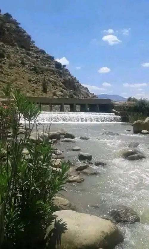 Vente Terrain Agricole Aïn Defla Oued djemaa