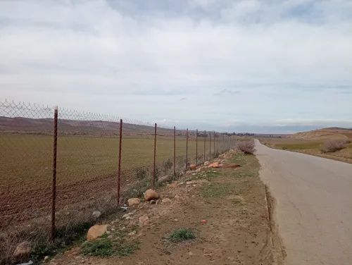 Vente Terrain Agricole Aïn Defla Oued djemaa