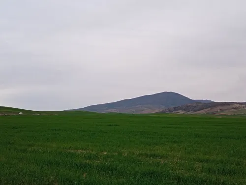 Vente Terrain Agricole Aïn Defla Oued djemaa