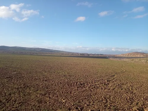 Vente Terrain Agricole Aïn Defla Oued djemaa