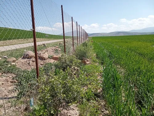 Vente Terrain Agricole Aïn Defla Oued djemaa