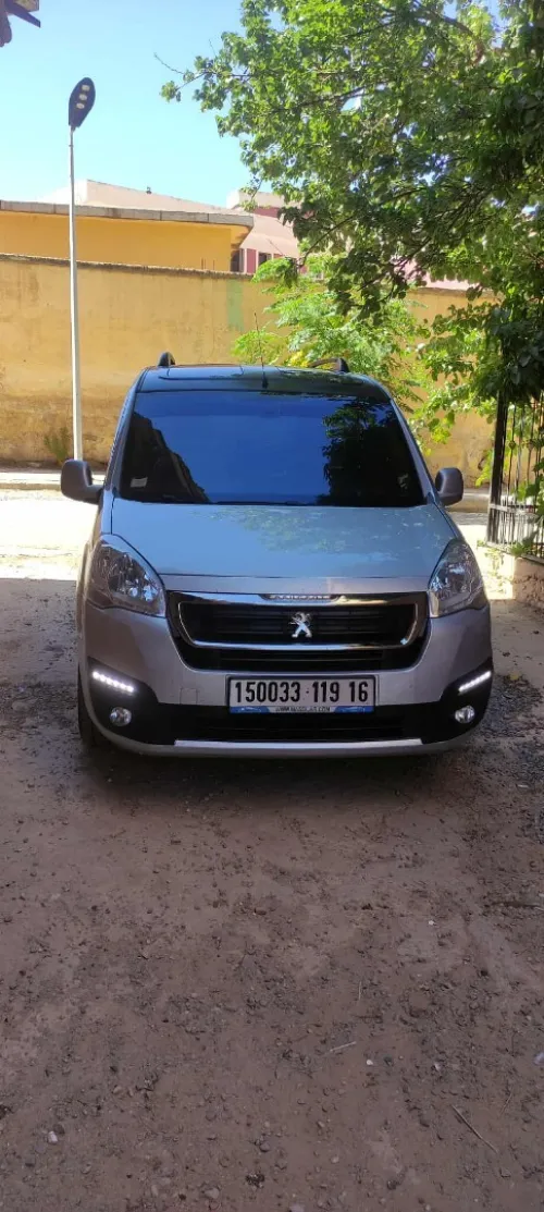 Peugeot Partner tepee 2019 Golbal