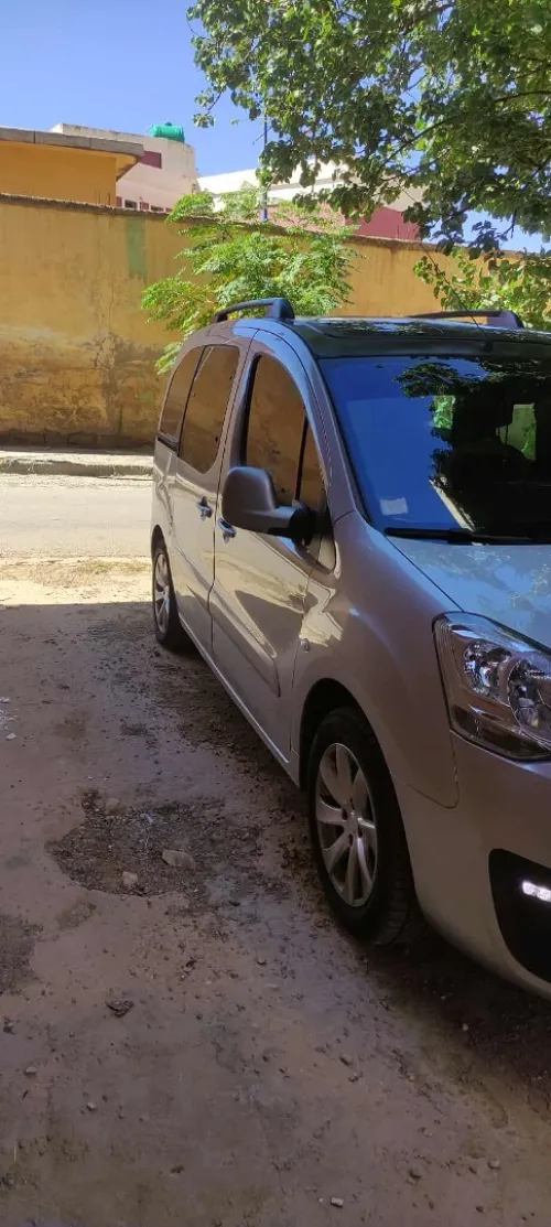 Peugeot Partner tepee 2019 Golbal
