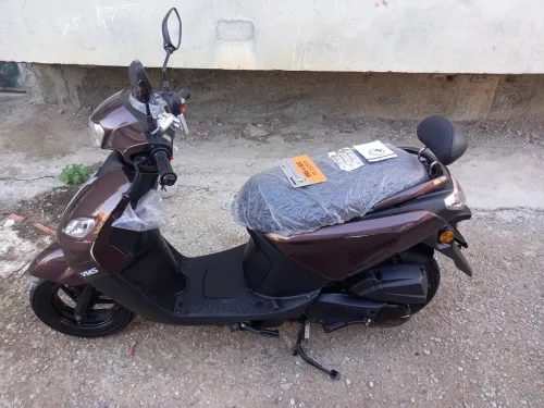 Vms Joci 2025