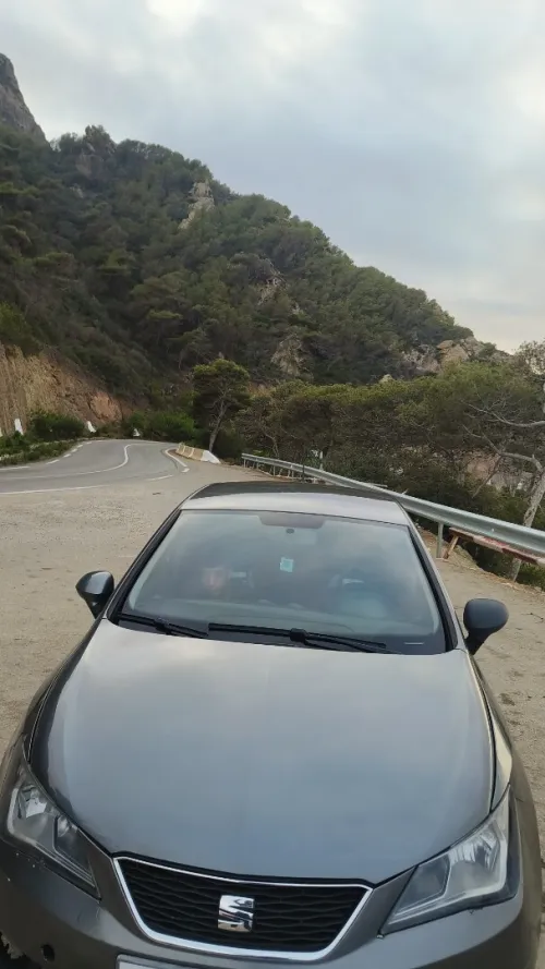 Seat Ibiza 2014 Crono