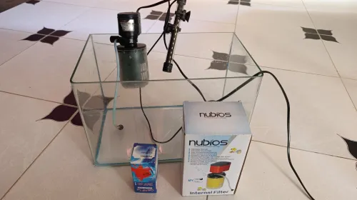 Aquarium maison ou bureau 