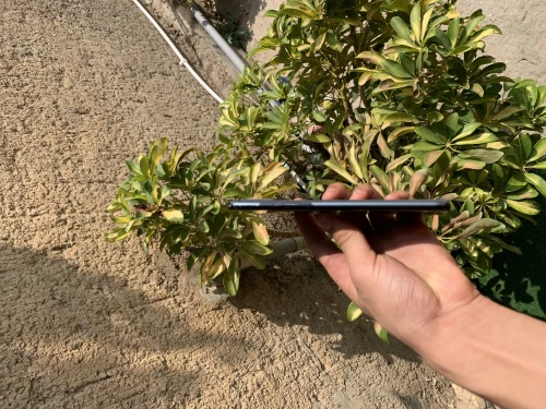 Samsung S20 plus