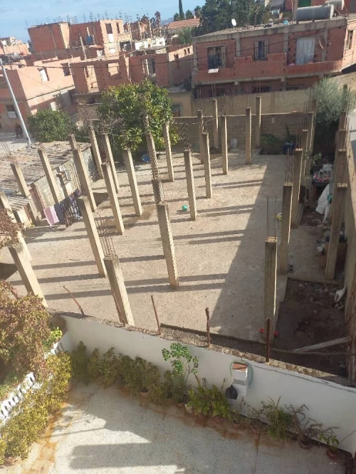Vente Terrain Blida Ouled selama