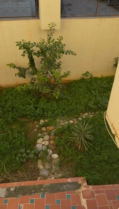 Location Appartement Duplex F4 Alger Cheraga