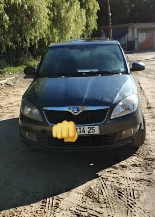 Skoda Fabia 2014 Fresh