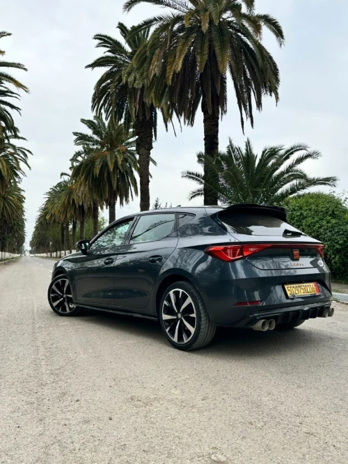 Seat Leon 2022 Style