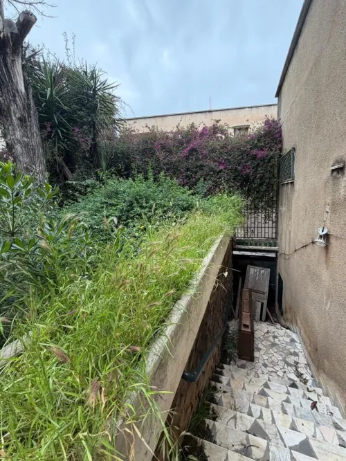 Vente Terrain Alger El biar 4