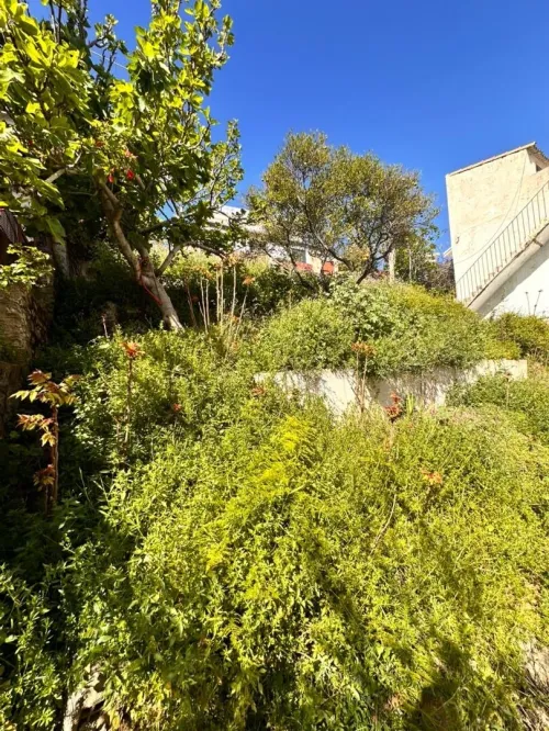 Vente Terrain Alger Alger centre