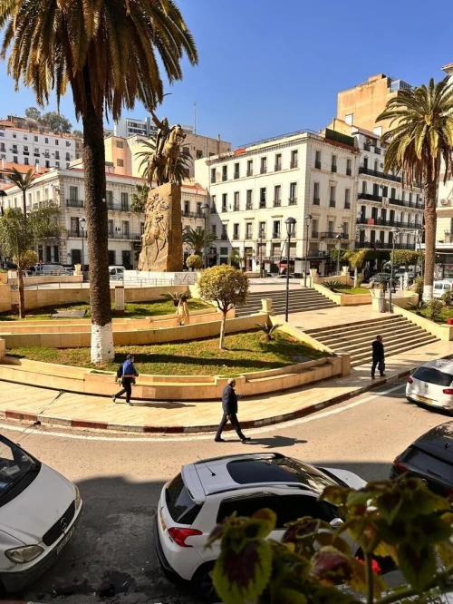 Vente Local Alger Alger centre
