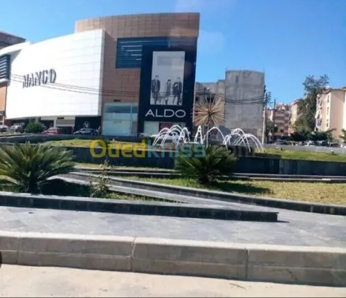 Location Local Alger Hydra