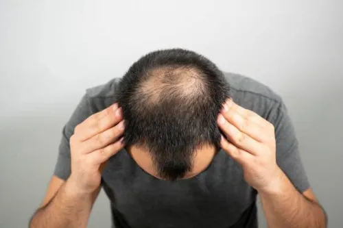 زيت هنا للشعر