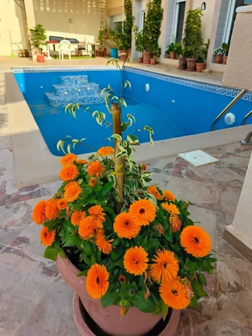Location vacances Villa Tlemcen Honaine
