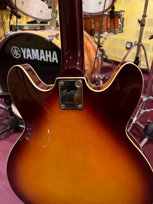 Guitare Hagstrom Viking 2p Ultralux Semi Hollowbody Electric Guitar