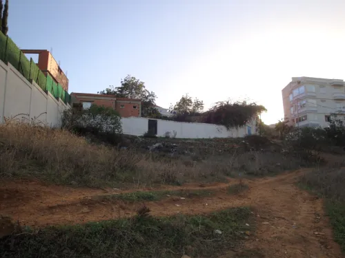 Vente Terrain Tipaza Tipaza