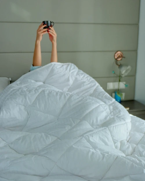 Pack couette en coton percale