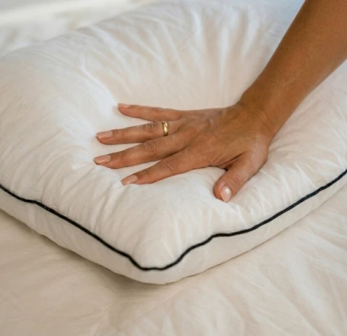 Oreiller PLUMA Plume Naturelle Tissu Coton Percale