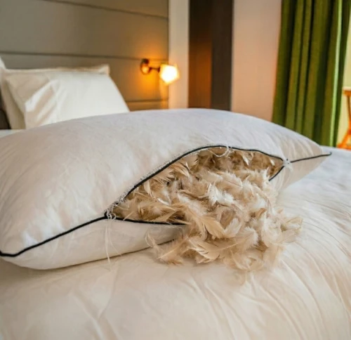 Oreiller PLUMA Plume Naturelle Tissu Coton Percale