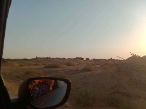 Vente Terrain Agricole Ouargla Ain beida